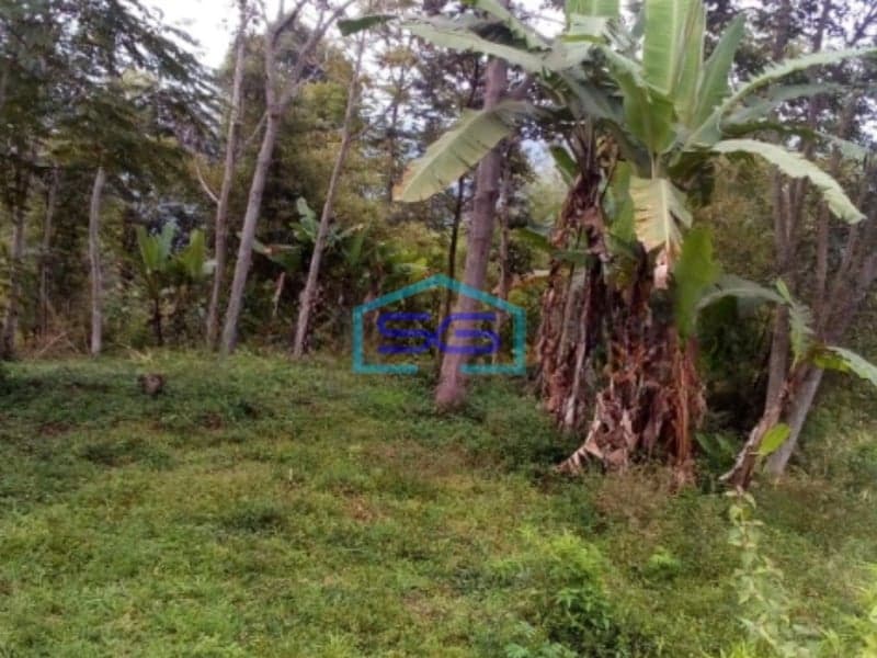 Dijual Tanah DI Cibodas Ciwidey Bandung Luas Tanah  20000 m2