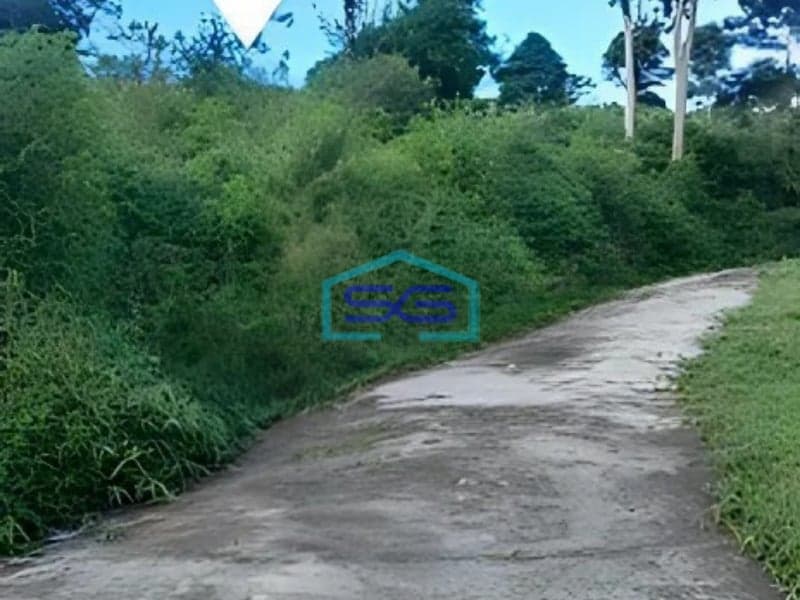 Dijual Tanah Di Sukaresmi Cianjur Luas 1.2 Ha Cocok Utk Investasi