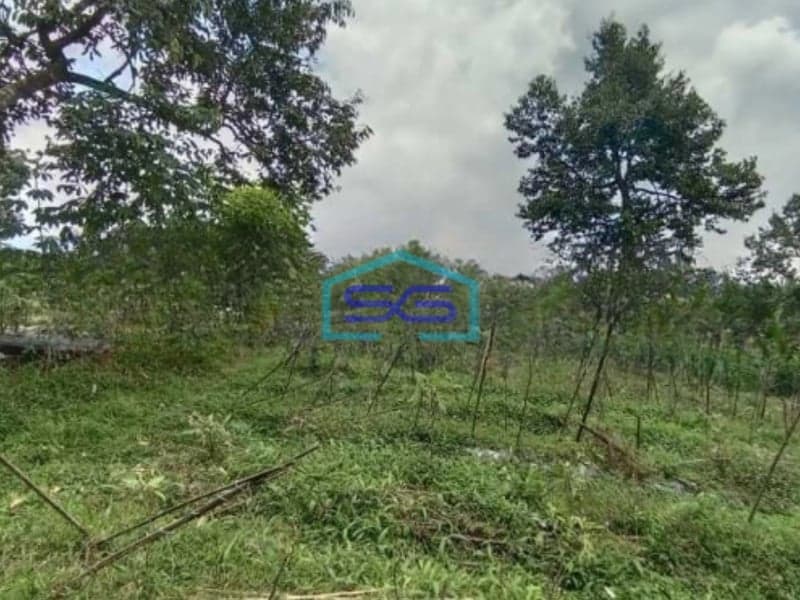 Dijual Tanah Luas  82801 m² Lokasi Strategis di Banyumas Jawa Tengah