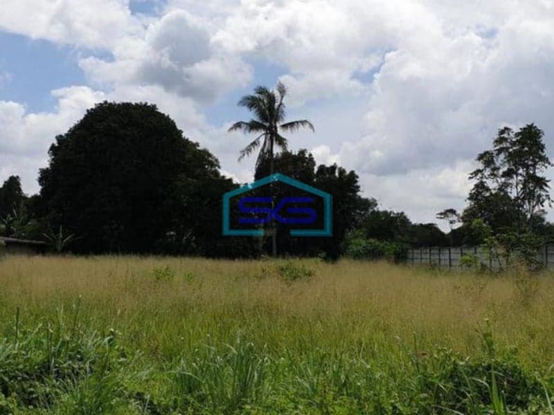 Dijual Tanah di Cisauk Tangerang Luas 2000m2 Lokasi Strategis di Pinggir Jalan