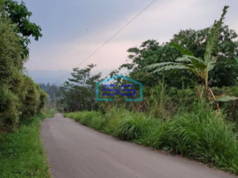 Dijual Tanah Desa Sadeng Lewisadeng Bogor Luas Tanah 20000m2