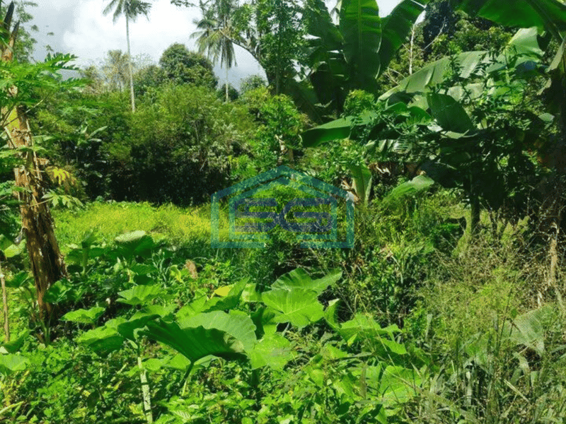 Dijual Tanah 10h di jl raya Manado Bitung cocok buat gudang