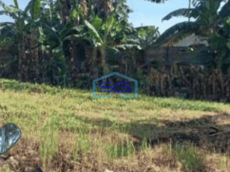 Dijual Tanah Lokasi Bebas Banjir Luas 8800 m² di Gunung Sindur Bogor