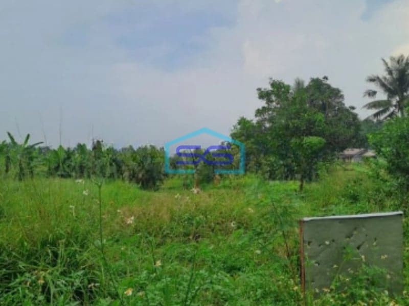 Dijual Tanah di Pinggir Jalan Raya Desa Rabak Rumpin Bogor Luas 44000m2
