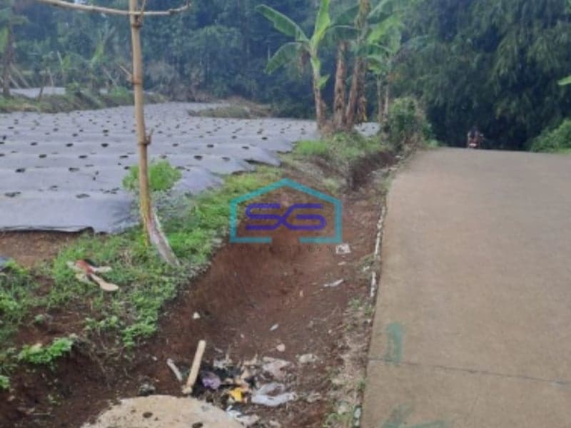 Dijual Tanah Jalan Terobosan Puncak Bogor Luas Tanah 2000m2