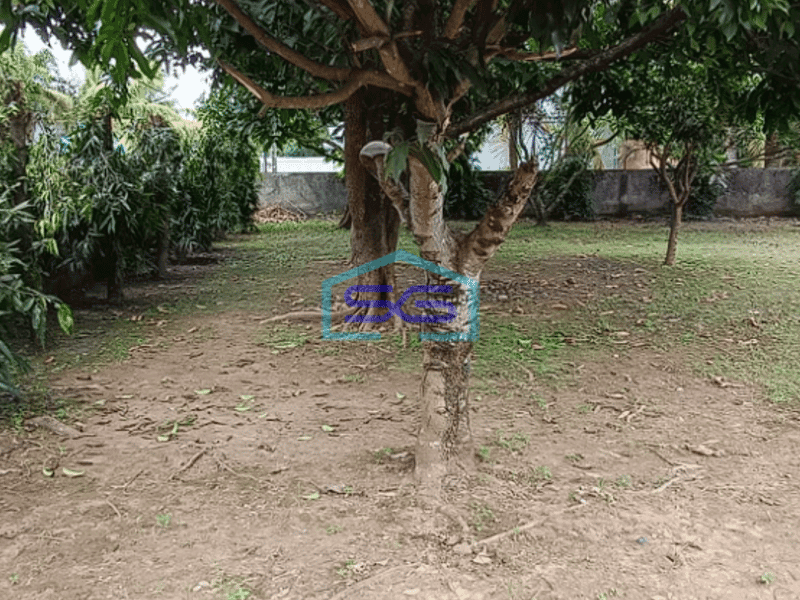 Dijual Cepat Tanah Luas Bonus Bangunan di Sukarami Palembang