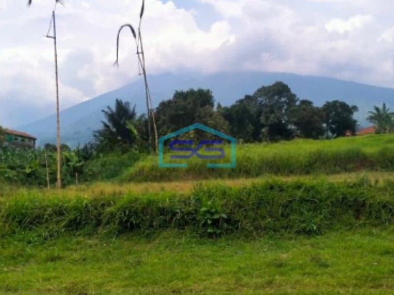 Dijual Tanah Bagus di Jalan Raya Cihdeng Kec Cijeruk Bogor LT 12000m2