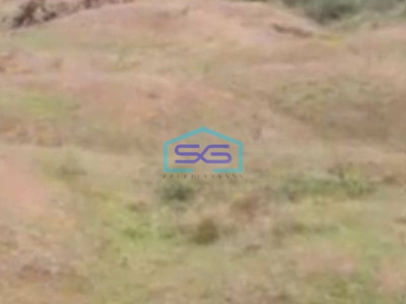 Dijual Tanah di Jl. Raya Rancaiyuh , Legok  Tangerang Luas Tanah 5000 m²