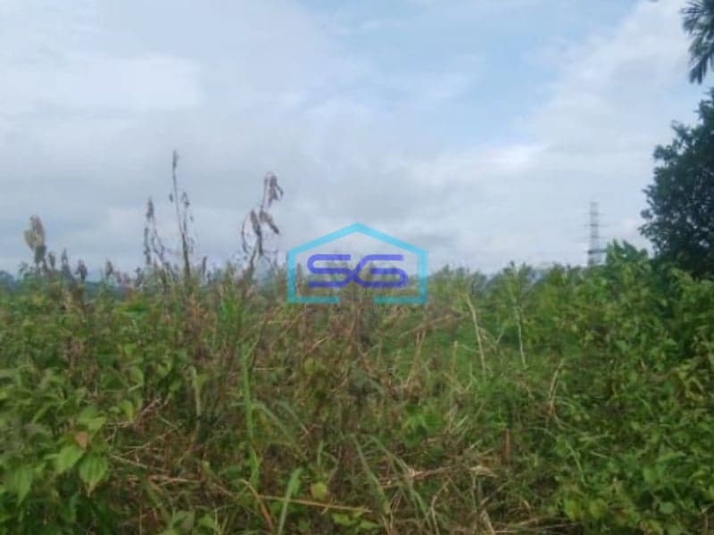 Dijual Tanah di Cibadak Sukabumi Luas Tanah 10 Hektar