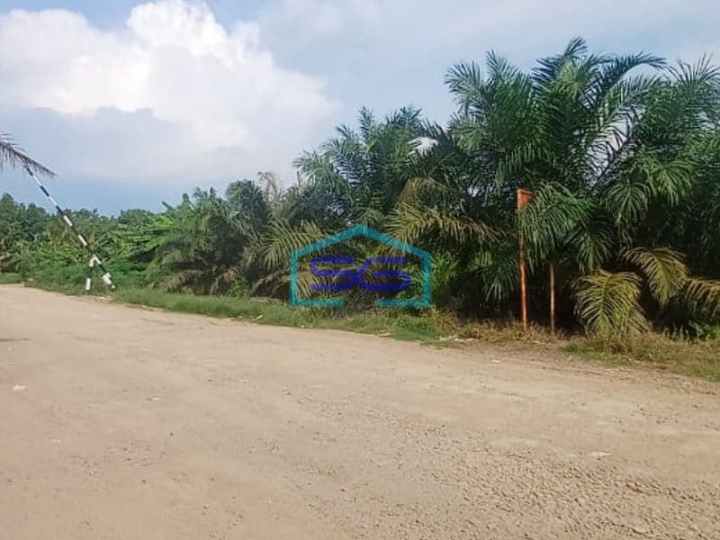 Dijual Tanah di Dekat Jembatan Gasing, Tanjung Api-Api Banyuasin Sumatera Selatan Strategis LT 68000m2
