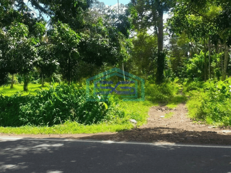 Dijual Tanah 1,2h di jl raya Manado Bitung cocok buat gudang