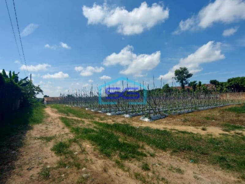 Dijual Tanah 6 Hektar di Jalan Sukamoro Palembang Sumatera Selatan