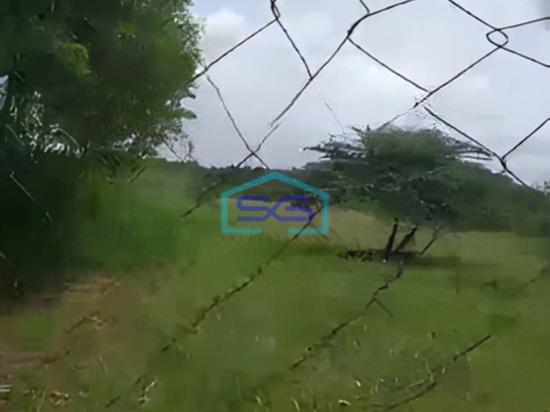 Disewakan Tanah Luas 4 Hektar Di Area Industri Gunung Sindur Bogor