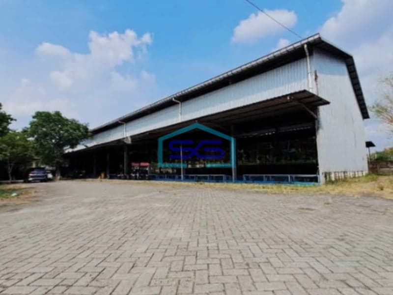 Dijual Tanah Bonus Gudang Luas Tanah 4991m2 Kapas Bojonegoro Jawa Timur