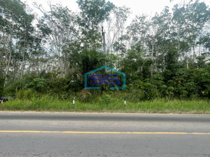 Dijual Tanah Lintas Sumatera Selatan Luas 90 HA di Kawasan Berkembang