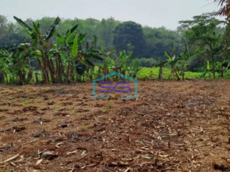 Dijual Tanah di Daerah Cibodas Rumpin Bogor Luas 1000m2