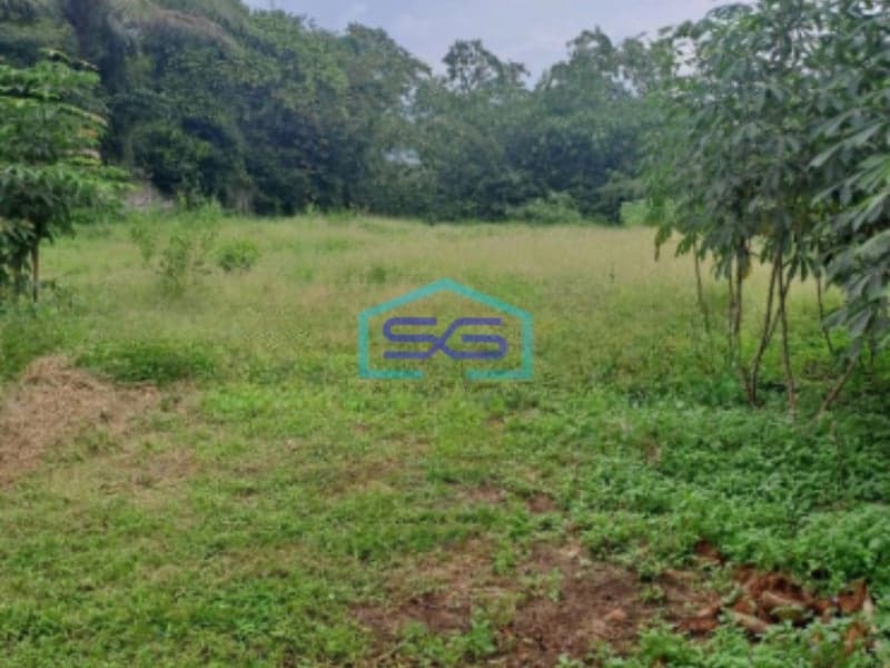 Dijual Tanah Di Cipinang Rumpin Bogor Jawa Barat Luas 15000m2