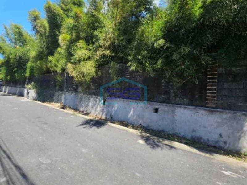 Dijual Tanah Murah Tumbak Bayuh Canggu Badung Bali Luas Tanah 4700m2