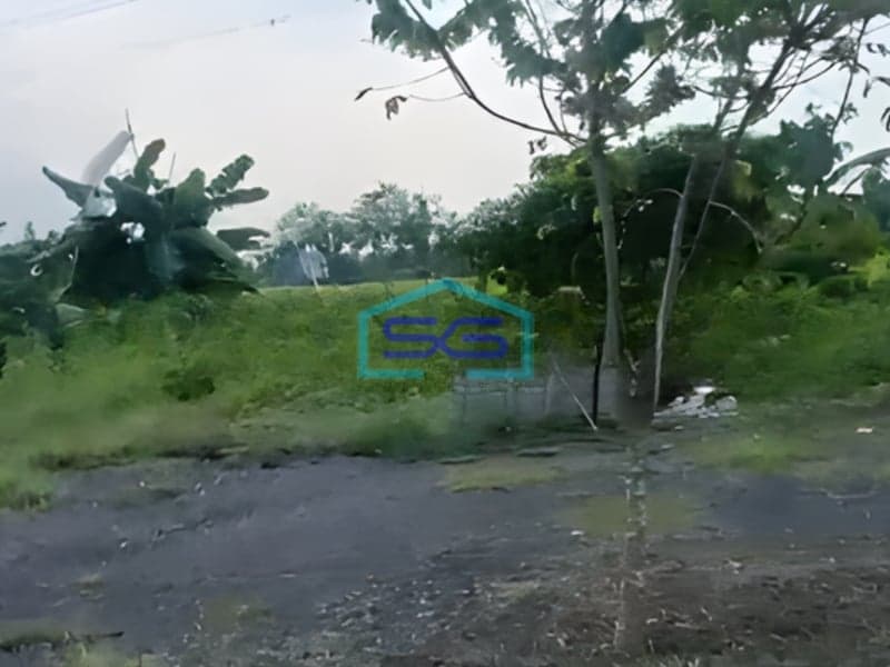 Disewakan Tanah Strategis Di Legok Tangerang Bebas Banjir LT 5000m2