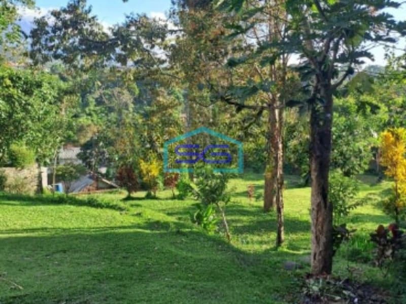 Dijual Tanah Plus Bangunan di Desa Cipayung Megamendung Bogor LT 3000m2