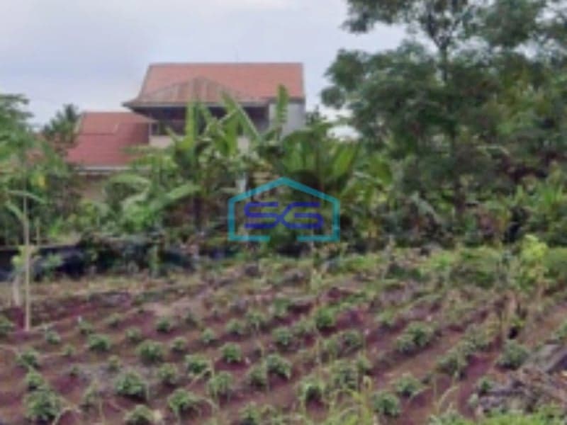 Dijual Tanah 8731m2 Di Kalasey Mandolang, Minahasa Luas Tanah (PxL)  8731 m²