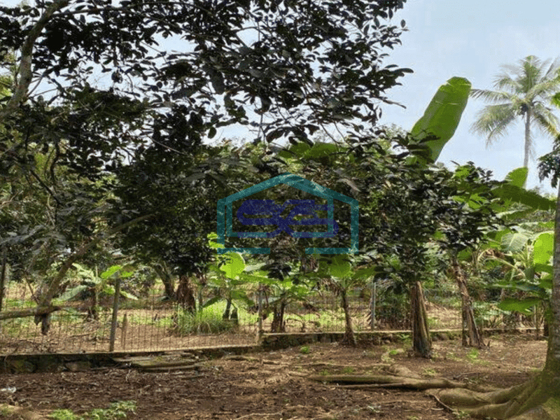 Dijual Tanah Industri bisa jadi Gudang di Kalijati Purwadadi Subang