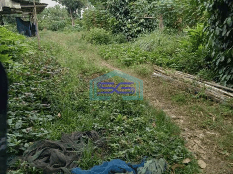 Dijual Tanah Cocok Gudang di Babat Legok Tangerang