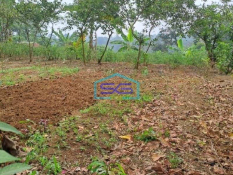 Dijual Tanah Lokasi di Caringin Bogor Luas Tanah 2500m2