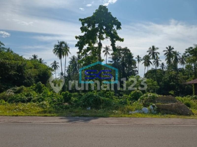 Dijual Tanah 5h~100h Di Ring Road 3 Di Malalayang Manado Luas Tanah (PxL)  100000 m²