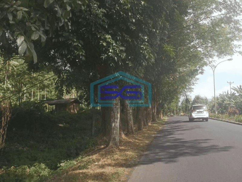 Dijual Tanah 1,7h di Minahasa Utara Cocok buat Gudang dan Ekspedisi