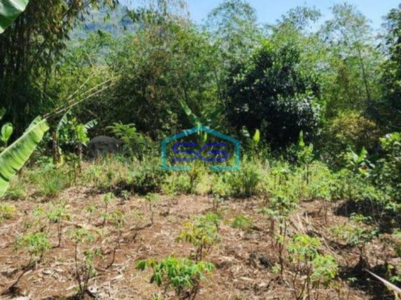 Dijual Tanah Zona Abu Industri Bisa Akses Kontainer 40 Feet di Sayap Cipatik Bandung LT 3155m2