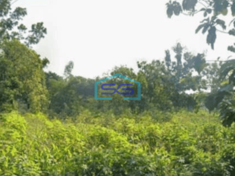 Dijual Tanah lahan lokasi Gemolong Sragen luas 4000m2