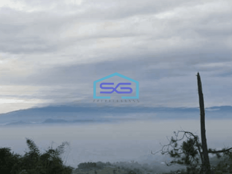 Dijual Tanah Area Dago View Indah Luas Tanah 100000 m²