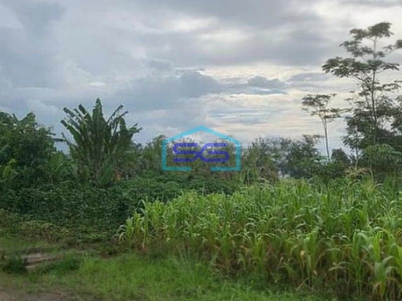 Dijual Tanah di Batujajar Bandung Barat Tanah Cocok Untuk Gudang Luas 1800m2