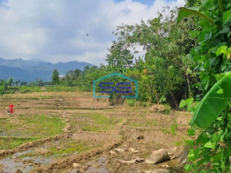 Dijual Tanah Seluas 12000m2 di Babakan Madang Bogor