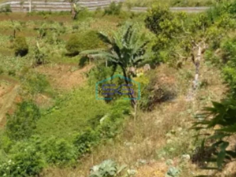 Dijual Tanah Super Murah di Bangli Bali Luas Tanah 10000m2