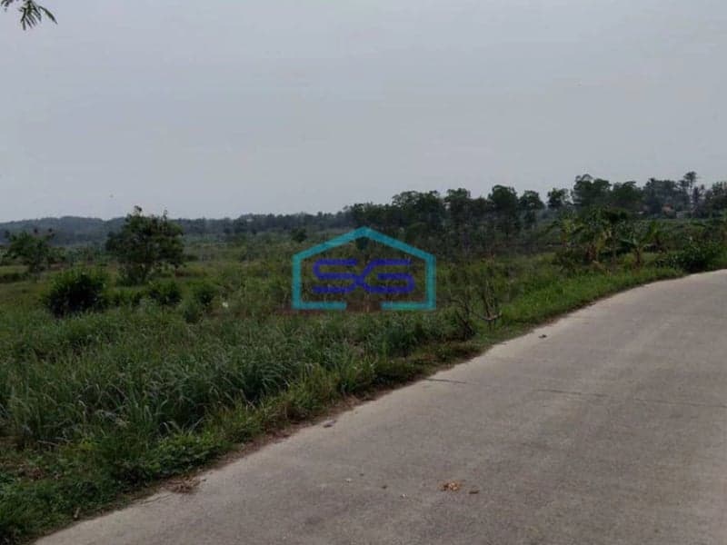 Dijual Tanah di Desa Cileles kecamatan Tigaraksa Tangerang Luas 70 Hektar