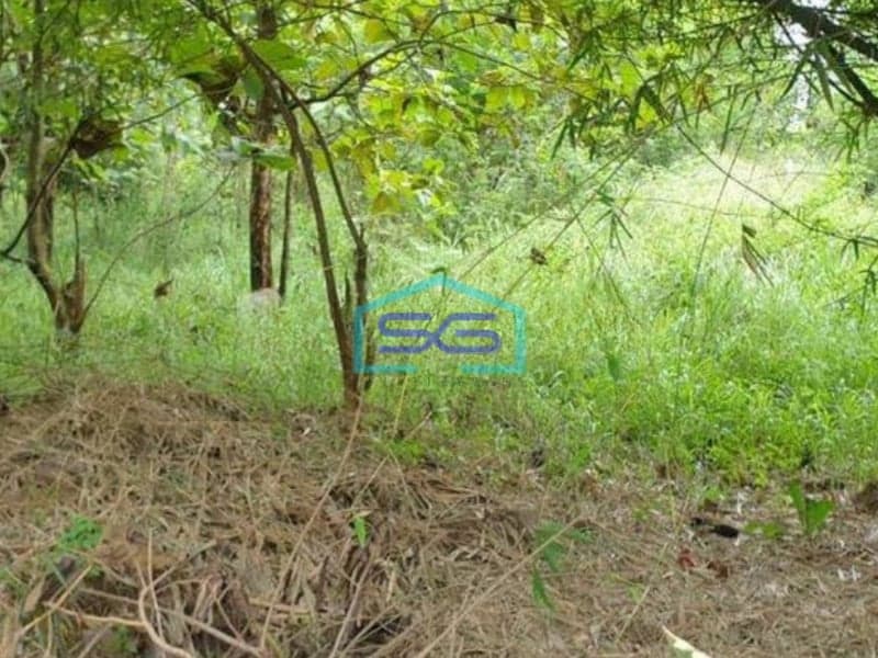 Dijual Tanah di Desa Bantar Panjang Cileles Tigaraksa Tangerang Luas 1,4 Hektar