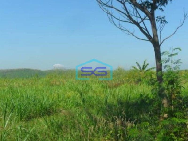 Dijual Tanah Di Desa Nolokerto Kaliwungu Kendal Sangat Strategis Dipinggir Tol Semaranga LT 1165911