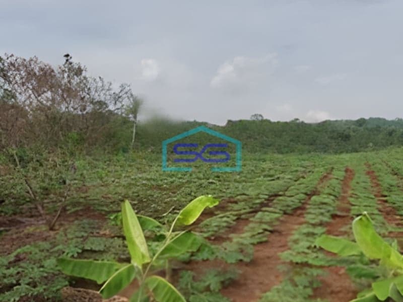 Dijual Tanah di Zona Industri Lokasi Batang Jawa Tengah Luas 119300m2