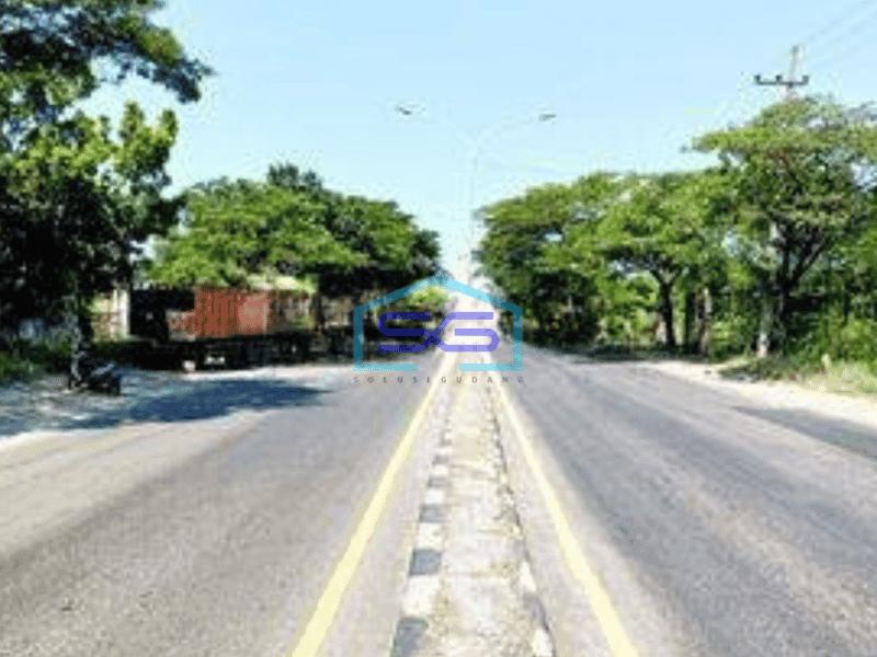 Dijual Tanah Strategis Nol Jl Raya Provinsi Pasuruan Dekat PIER Dan Tol Cocok Utk Gudang Pabrik Ruko