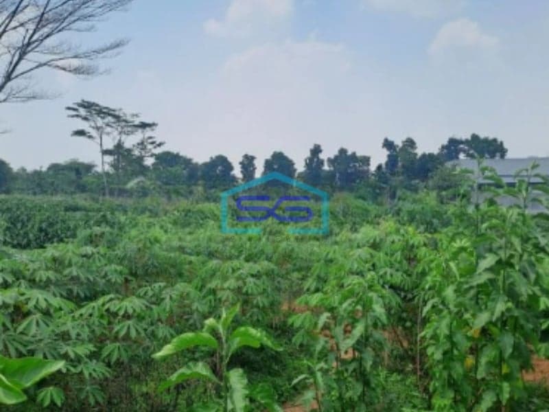 Dijual Tanah di Babakan Madang Sentul City Bogor Luas Tanah 16000m2