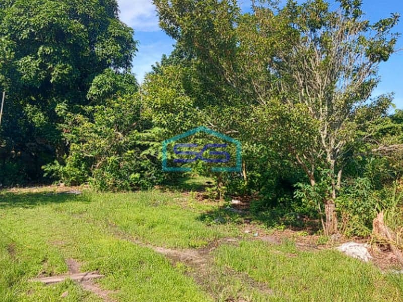 Dijual Tanah Jalan Lintas Sumatra Sriwijaya Raya KM 22 Jalan Palembang Indralaya Sumatera Selatan LT 5.6 Ha