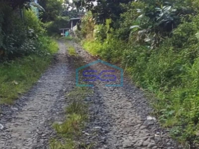 中爪哇省肯德尔县WeleriSidomukti出售土地，面积3810平方米