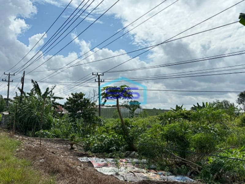 Dijual Tanah Luas 12 hektar di Tanjung Api-Api Palembang Banyuasin