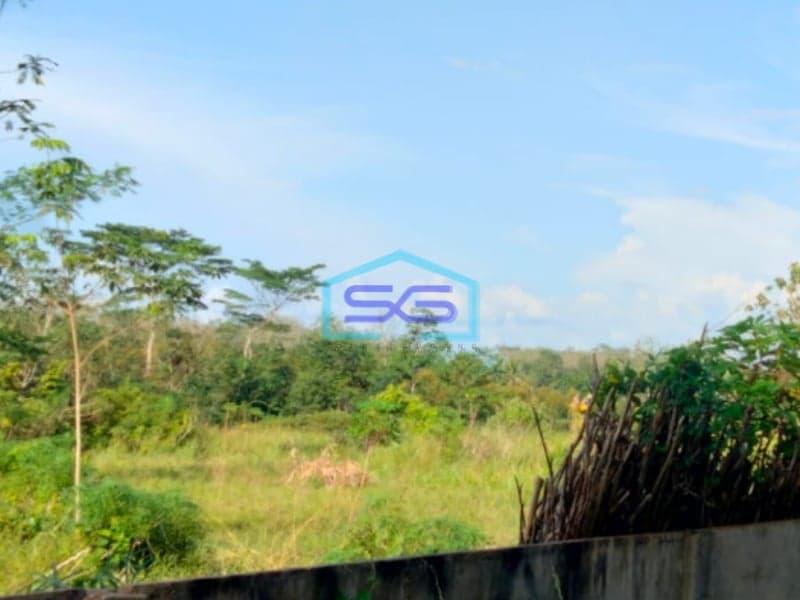 Dijual Tanah Murah Jalan Gandus Talang Buluh Banyuasin Sumatera Selatan LT 14000m2