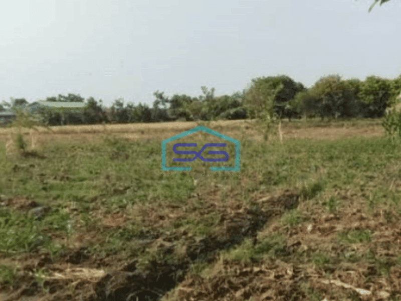 Dijual Tanah Industri 44000 M² di Pabedilan Ciledug Cirebon