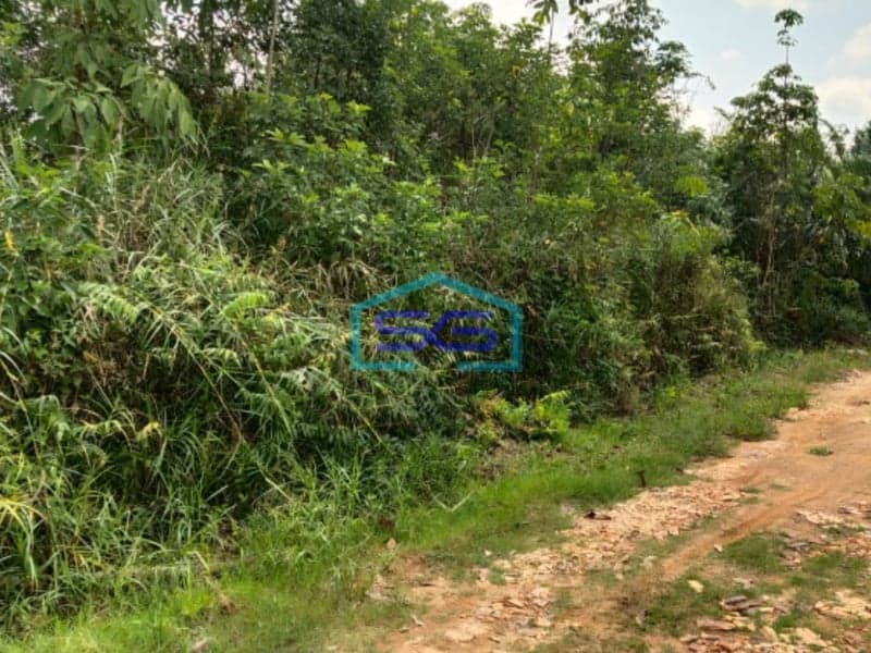 Dijual Tanah Luas Siap Bangun Talang Betutu Palembang Luas Tanah 2399m2