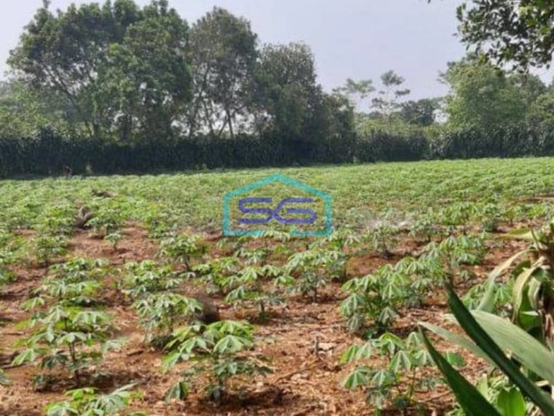 Dijual Tanah di Pinggir Jalan Raya Cidikom Gobang Rumpin Bogor LT 4600m2