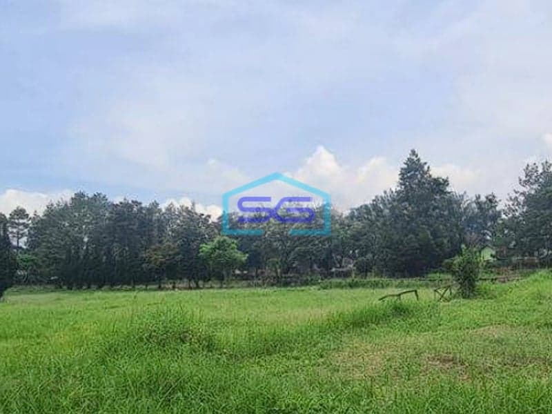 Disewakan Dijual Tanah Lokasi Strategis Asri Lembang Bandung LT 56000m2